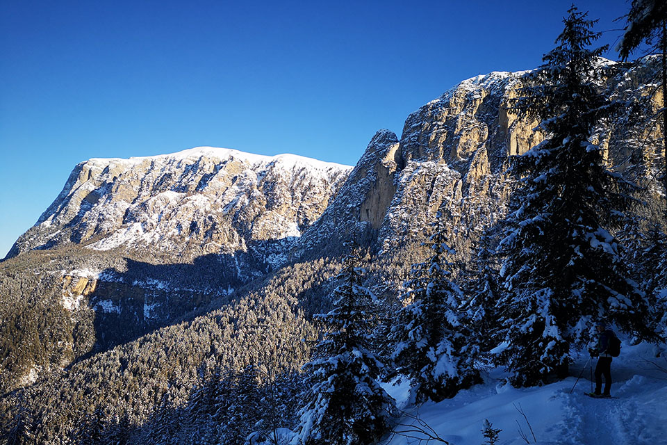 View of the Tschafon and Sciliar in winter